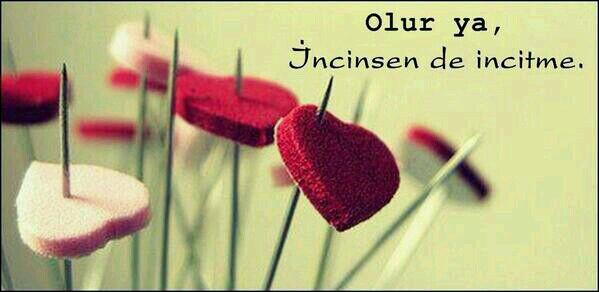 ulkum16's profile picture. 