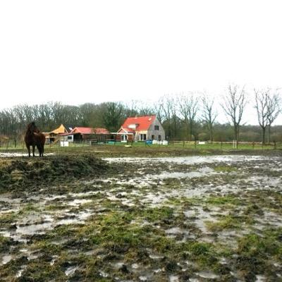 The Netherlands-august '94-Horseriding- Film,music and writing I love.