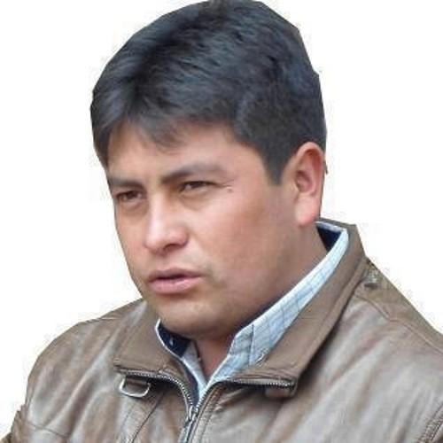 Economista, con Maestría en Politicas Sociales y con estudios de Doctorado en Economía. Alcalde de Pamparomas 2011 - 2014 y 2015 -2018.