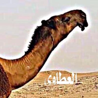mansour_a36ibi's profile picture. سبحان الله وبحمده /سبحان الله العضيم