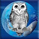 owlnetwork's profile picture. We are dedicated to helping people transform their lives. We are inspired to support people who desire to be entrepreneurs and make their dreams into reality.