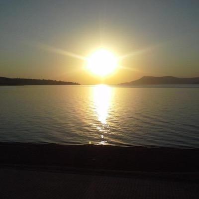 ugurtoksoy1's profile picture. Prizren