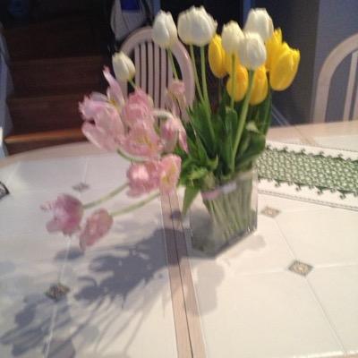 almajadallah's profile picture. Scholar Practioner with close to two decades of experience in conflict resolution, peace building and dispute resolution.