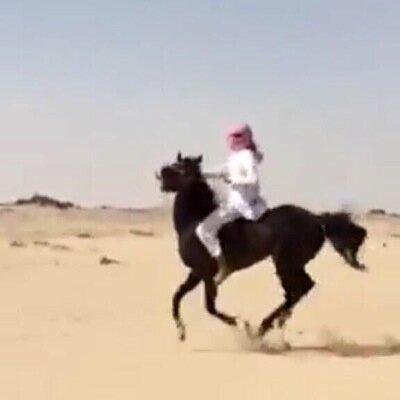 ‏فتاه  شاعره  واحب  الرد  على  الشعر  الي  يرق  لي  وليسى  كل  ماغرد  به يتعلق بحياتي فئن حياتي لاتنطرح  أمام الجميع للقراءه