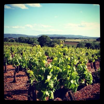Cru_SGO's profile picture. Syndicat de promotion du Cru Saint Georges d'Orques • #vins #AOP #AOCLanguedoc  • 19 domaines et caves dans l'Agglomération de #Montpellier.