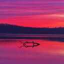 Deborah Humphrey - @Deb_Humphrey - Twitter