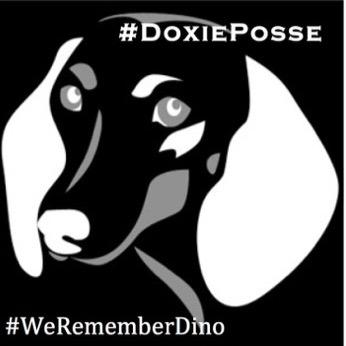 TheDinoBruno's profile picture. Low - ridin' German gangsta. Member of #DoxiePossie. #DoxieMafia name is Licky Tuscadero