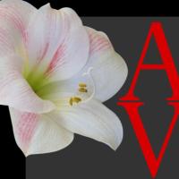 Amaryllis Ventures (@kully_amaryllis) 's Twitter Profile