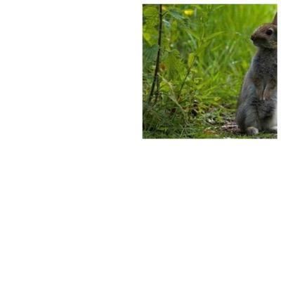 SamSamjchill's profile picture. 