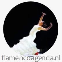 flamencoagenda Profile Picture