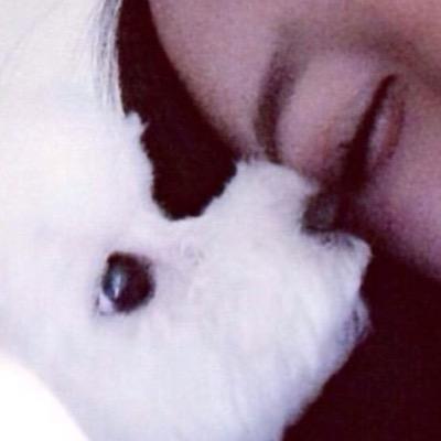 baileyclassin's profile picture. i spy w my little eye a fat bitxh