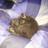 amdavies1978's profile image