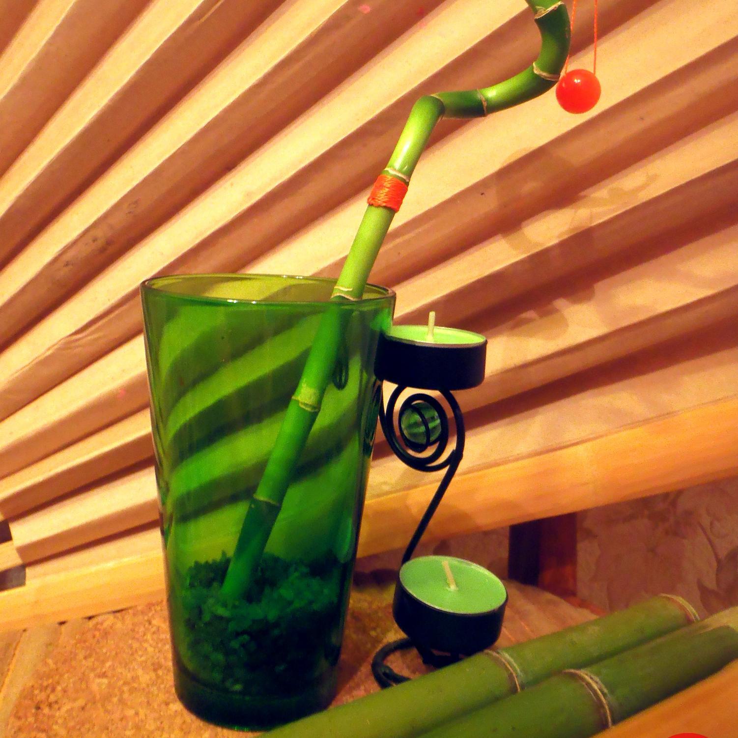 bamboo 風水 Живи в гармонии. Живые композиции из бамбука, массаж на дому.
