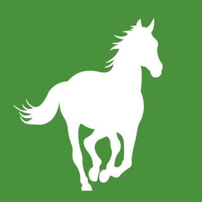 Pro punting on the horses, judo fanatic, health nut, Physical Therapist