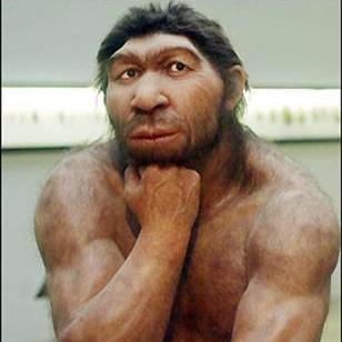 fearfactor131's profile picture. duygusal, vahşi, komik