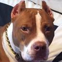 Gary Bohannon - @_GaryB - Twitter