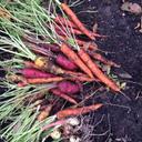 Kendall Black - @KendallEBlack - Twitter