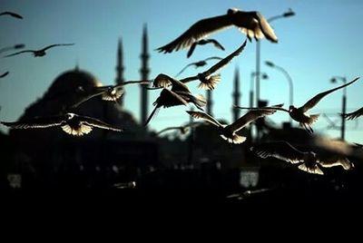 Sevdası büyük olanın imtihanı da ağır olur.