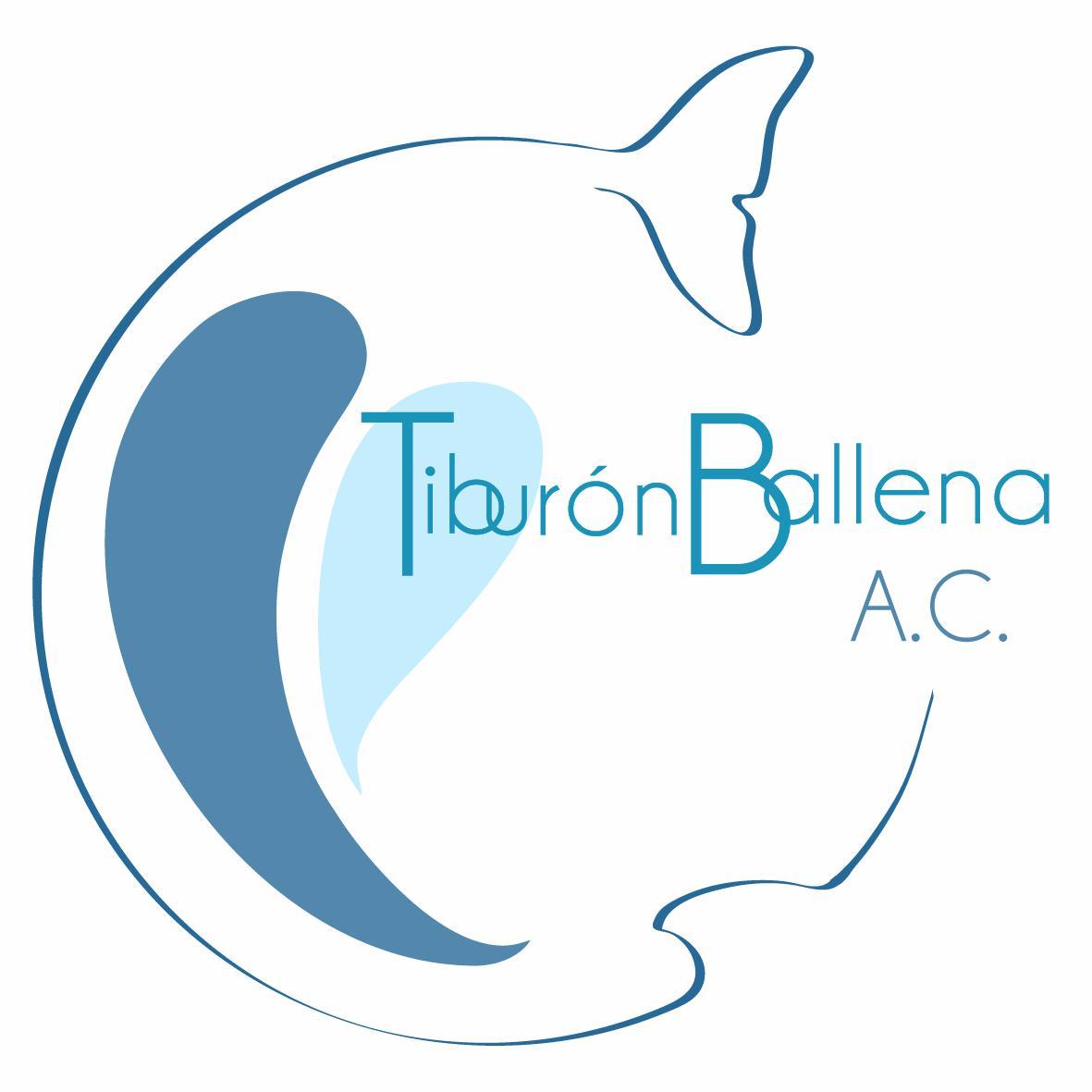 Tiburón Ballena A. C. con la misión de limpiar la playas mexicanas para hacer un mejor lugar a nuestro país. Contacto https://t.co/9ihS47QfIa