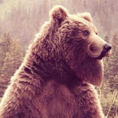 Ing.En Software, com hambre y necesidad de seguir aprendiendo y creciendo.