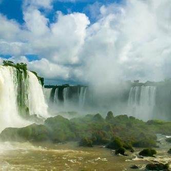 WildEarth_333's profile picture. 