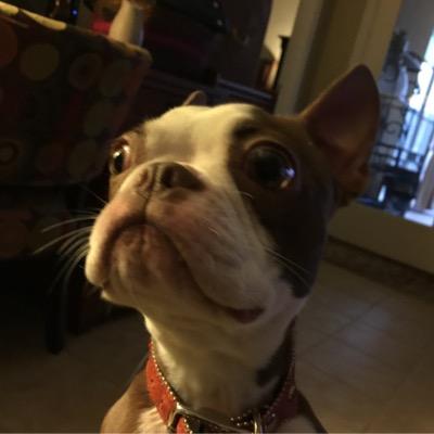 madsenja Profile Picture