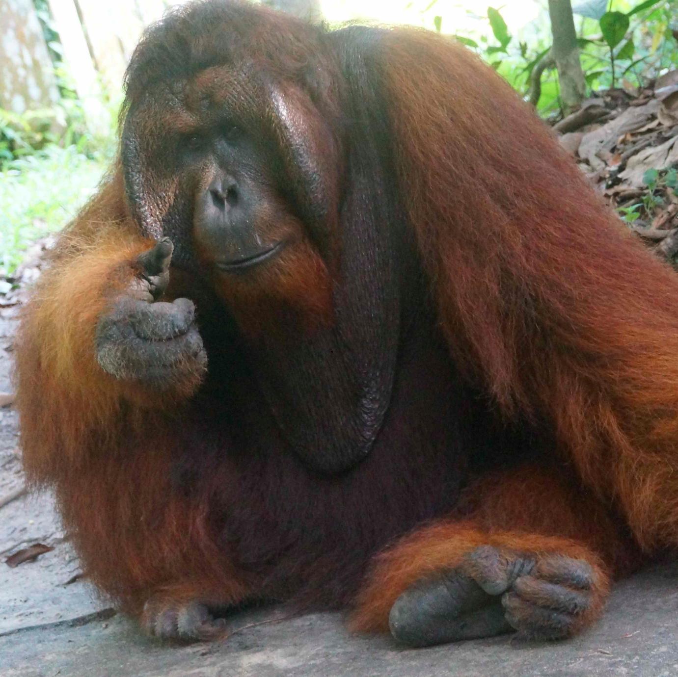 Alandrious's profile picture. 