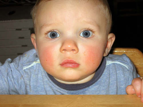 beeks's profile picture. 