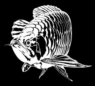 daytonaquarium's profile picture. We strive to bring you only the best fish available. We only work with known breeders that strive for the same quality that we do. CANT FIND A FISH, EMAIL US!!