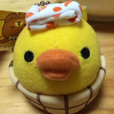 ⊿乃木坂46🩷五百城ちゃん推し❤️ 仕事:不動産営業 関西中心に賃貸/テナント/売買等ご相談ください😉