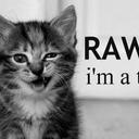 Madeline Roy - @RoyMaddyroy15 - Twitter