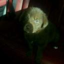 Jonathan Veloz - @341eac8dac294ad - Twitter