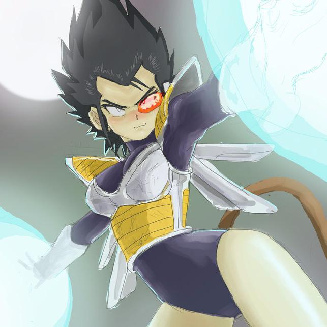 プライド, Pride ❝I will show you my power, Kakorotta. The power that you will never surpass!❞ [DBZRP/DetailedRP/Genderbent Vegeta/Can be 18+~]