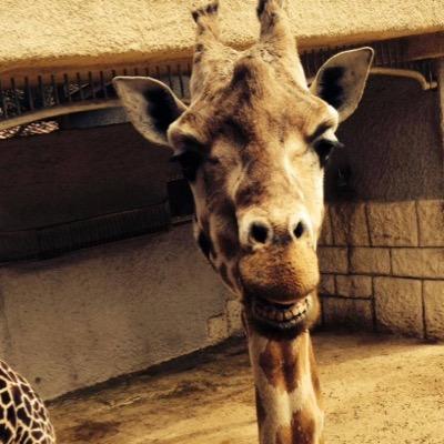 DarylLabelle's profile picture. skateur