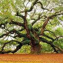 Jake Bondy - @M1nemeow - Twitter