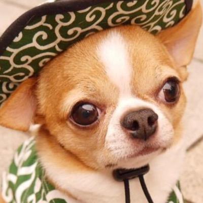 JeannieUlbricht's profile picture. 