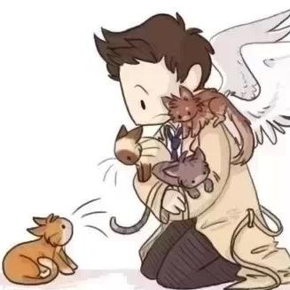sing off-key as loud as you can, and when we're dancing, step on my feet, because and loving you is better than any type of perfect |was @destielshipping |
