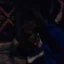 Kaylee Burch Marie - @kayleebm69 - Twitter