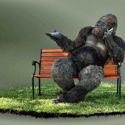 international man of leisure