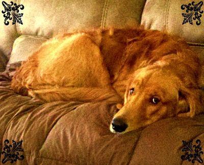 roadwatcher2's profile picture. I grew up in Concord, CA. I attended Eldorado Jr High. Then Graduated From Ygnacio Valley High School. I Joined the United States Coast Guard.&CHP