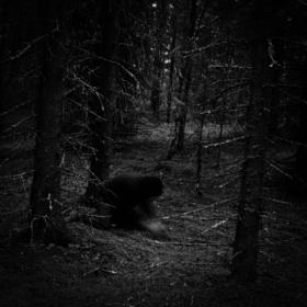 LinearCorp's profile picture. 