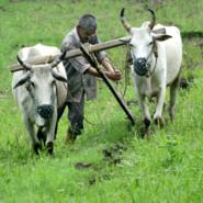 Емельян   Соколов (@beama17) 's Twitter Profile