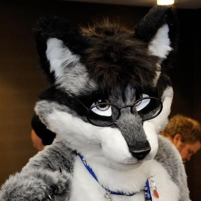 dan_raccoon's profile picture. Writer, panelist, quiz master, fursuiter, Brony, and all-around furry fan. Content could be related to any of these topics so beware. ;)