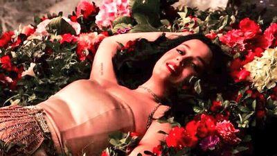 Katy vida
