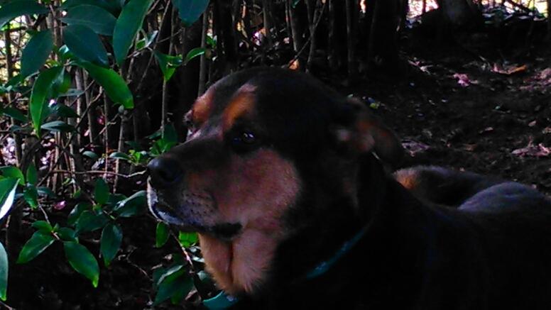 diegorobert8 Profile Picture