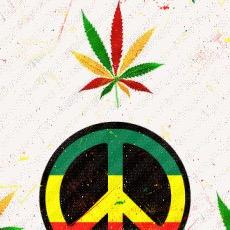 Exoticweed4sell's profile picture. fast over nite shipping let's do business