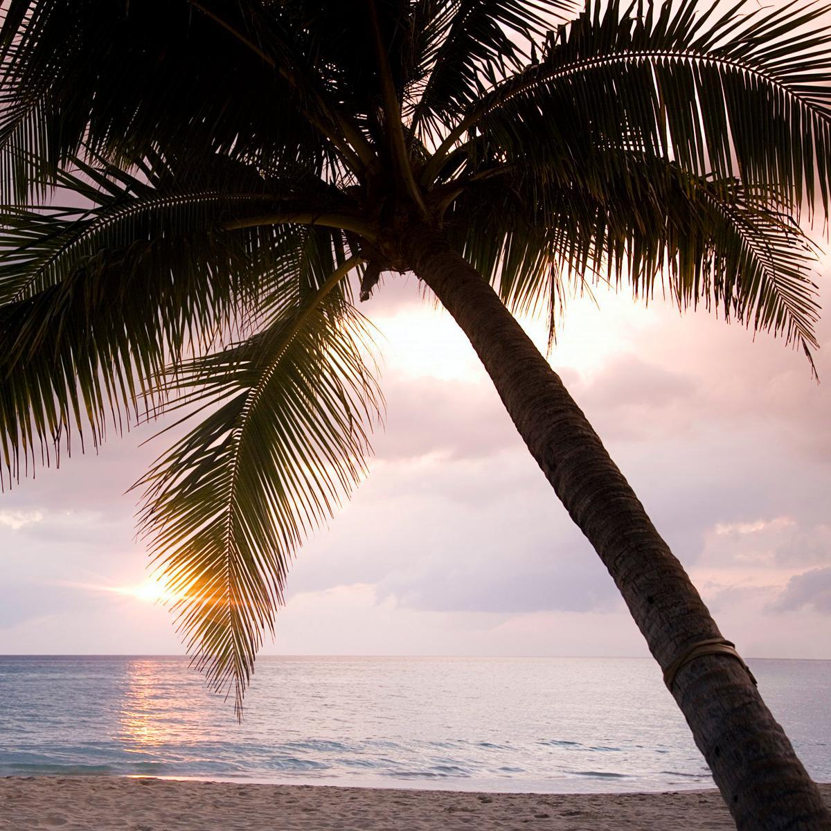 pathen283's profile picture. 