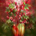Sudais Mahmoodi (@05f583cdec3543f) Twitter