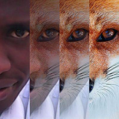 wawwesh's profile picture. Who the cap fits, let them wear it!