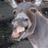 out_of_my_ass's profile image